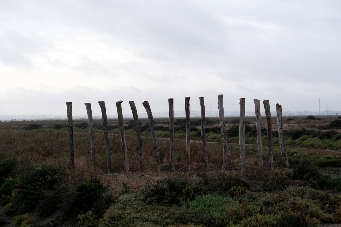 Así es la nueva vía ciclopeatonal entre San Fernando y Chiclana