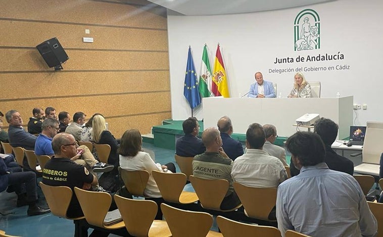 Descienden los incendios forestales en la provincia de Cádiz