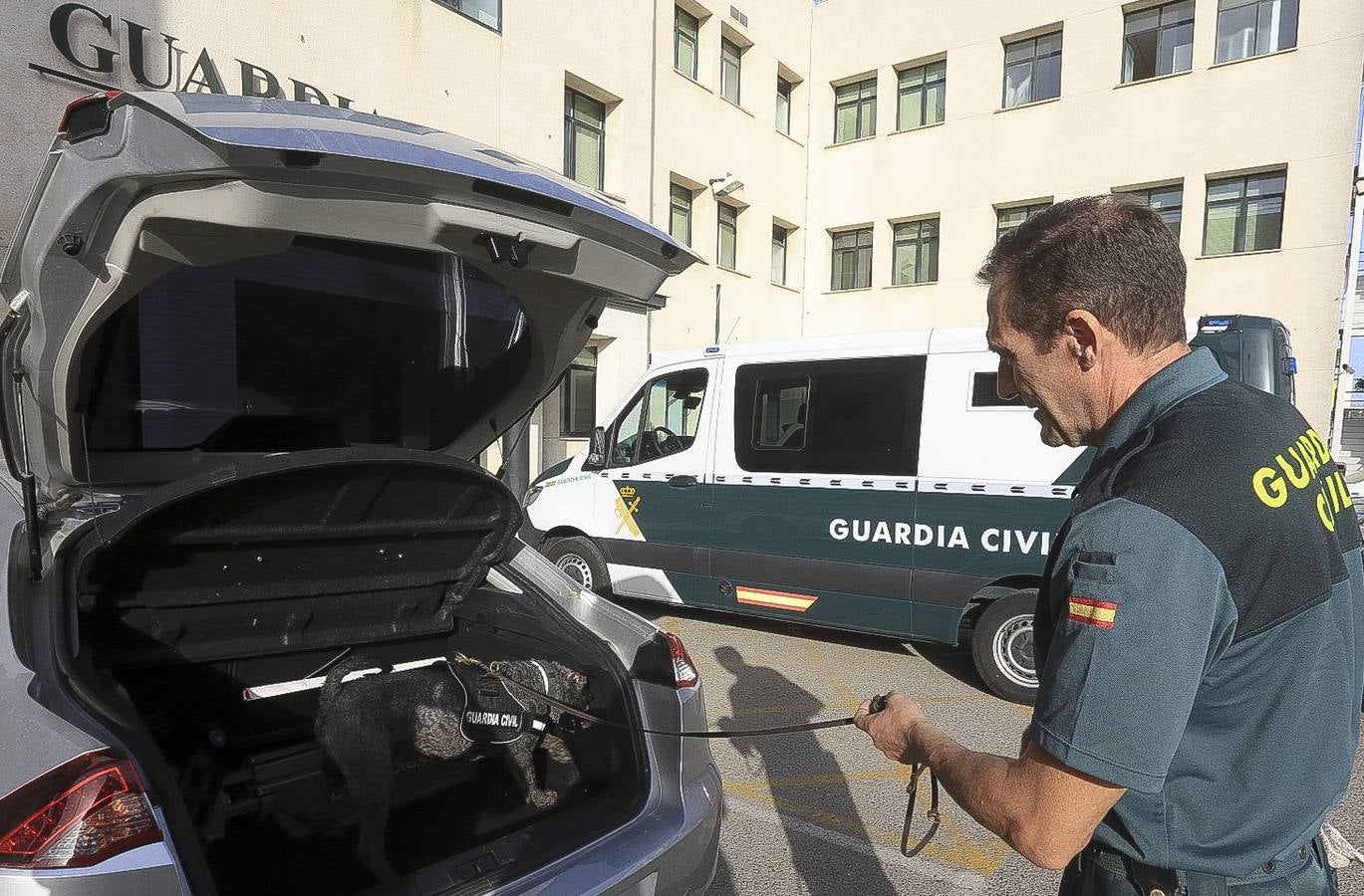 Fotos: Así se preparan los perros detectores de la Guardia Civil en Cádiz