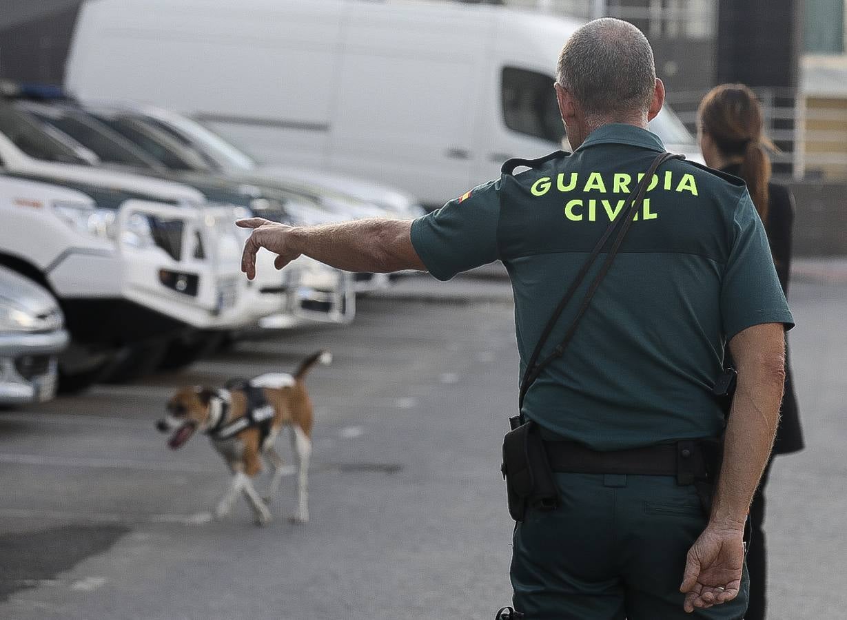 Fotos: Así se preparan los perros detectores de la Guardia Civil en Cádiz