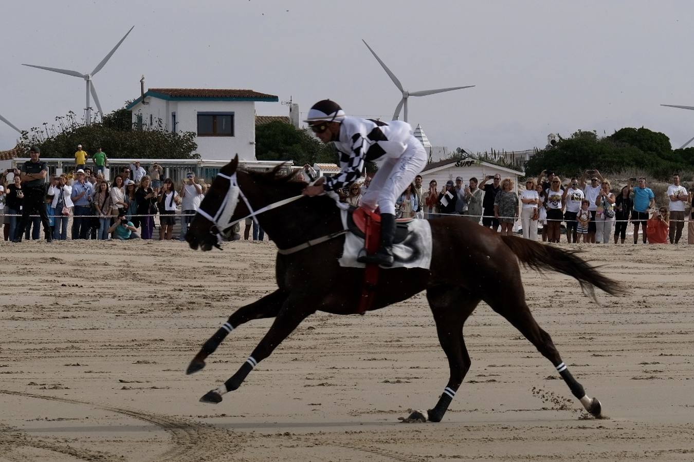 FOTOS: Carreras de caballos en la playa de Zahara de los Atunes