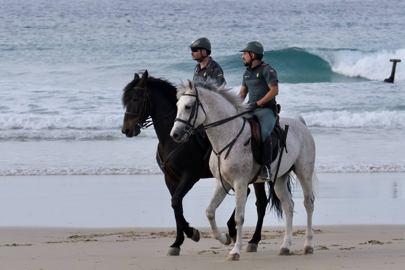 FOTOS: Carreras de caballos en la playa de Zahara de los Atunes