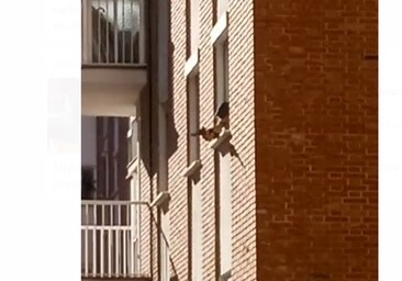 Vídeo: Dispara con una pistola de aire comprimido desde la ventana de una casa en Cádiz