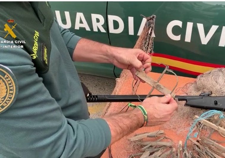 Golpe a la caza furtiva de aves insectívoras en la provincia de Cádiz