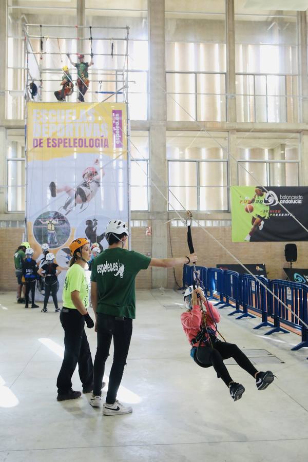 Fotos: Feria del Deporte y la Vida Sana