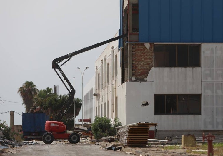 Las empresas gaditanas que el viento se llevó