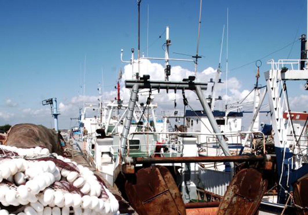 La Junta aumenta las ayudas por la parada adicional de la pesca de cerco del Golfo de Cádiz durante febrero