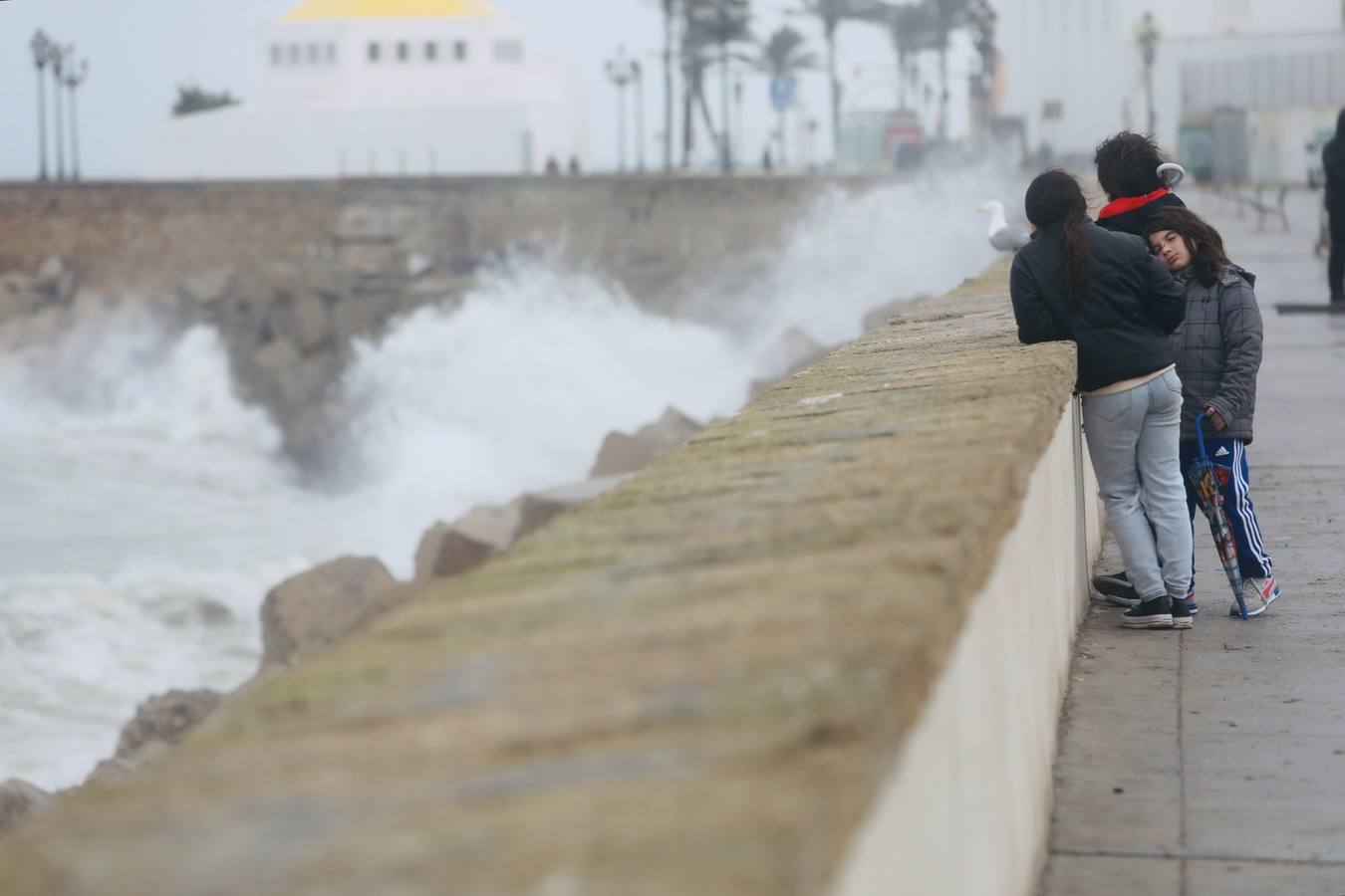 Fotos: El temporal de viento y lluvia en Cádiz, en imágenes