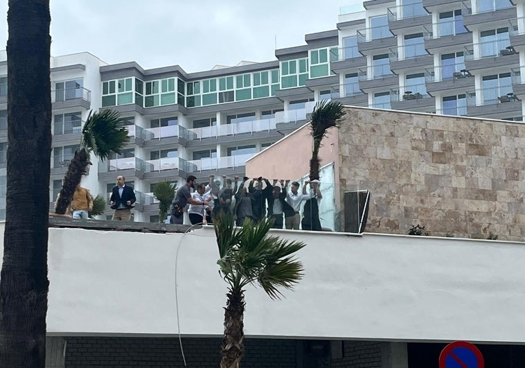 Tiempo Libre: Una palmera cae y rompe parte de una barandilla de cristal en el nuevo hotel