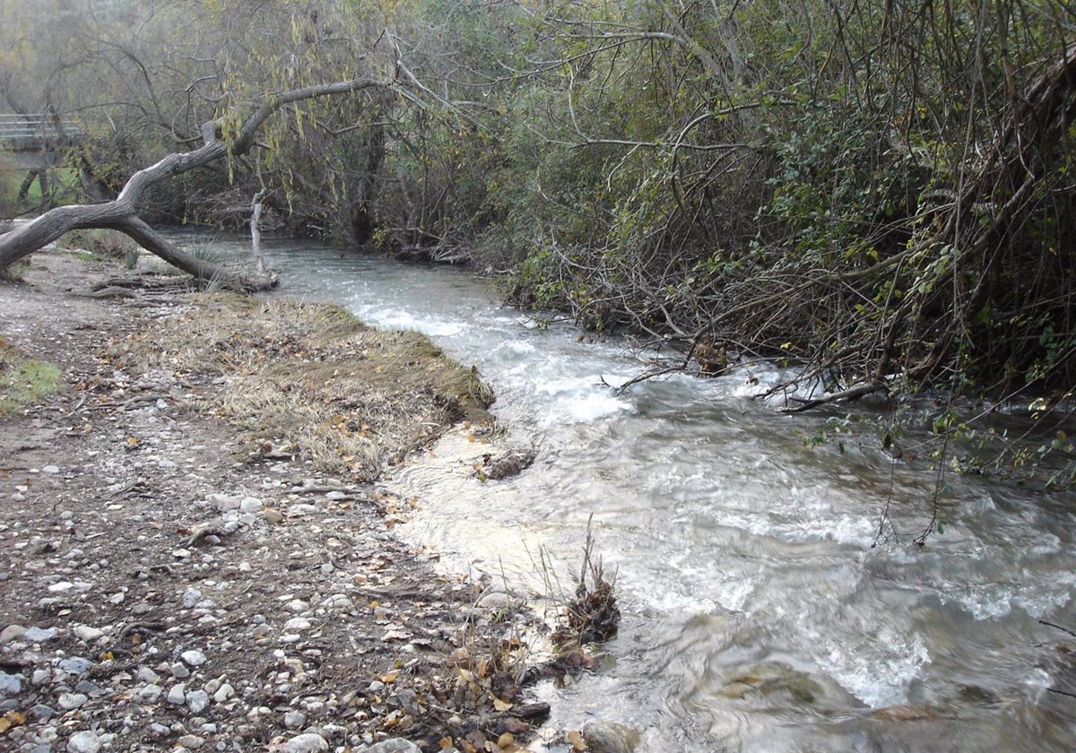 Un Río En La Sierra De Grazalema.