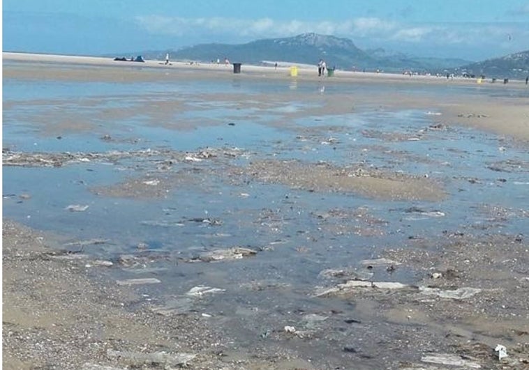 Ecologistas afirman que Los Lances es una «cloaca» por los vertidos