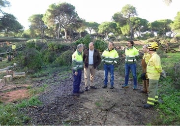 Trabajos para mejorar la zona de los pinares de Rota afectada por el paso del tornado