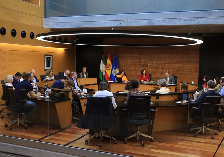 El Ayuntamiento de San Fernando aprueba las ordenanzas fiscales para el próximo año