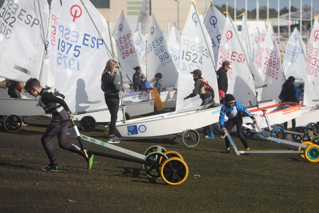 La Excellence Cup de Optimist se despide con honores de la Bahía de Cádiz