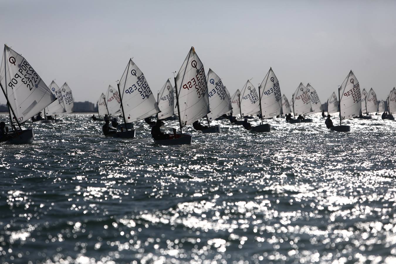 La Excellence Cup de Optimist se despide con honores de la Bahía de Cádiz