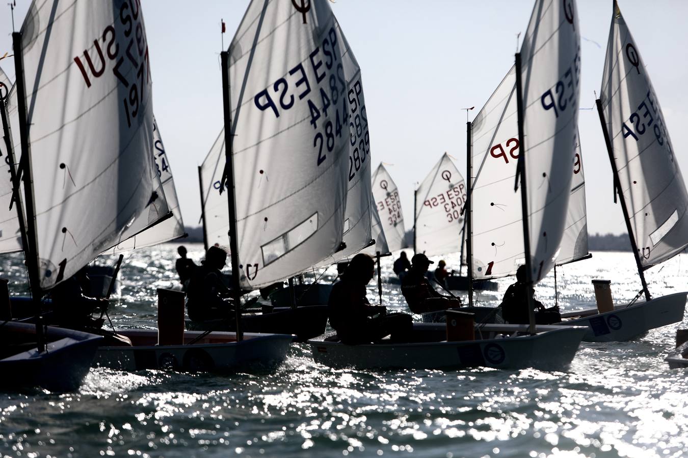 La Excellence Cup de Optimist se despide con honores de la Bahía de Cádiz