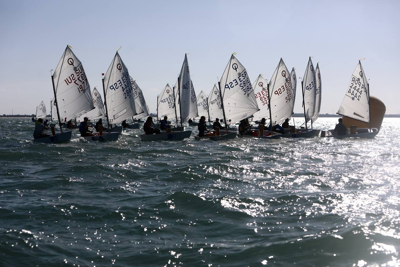 La Excellence Cup de Optimist se despide con honores de la Bahía de Cádiz