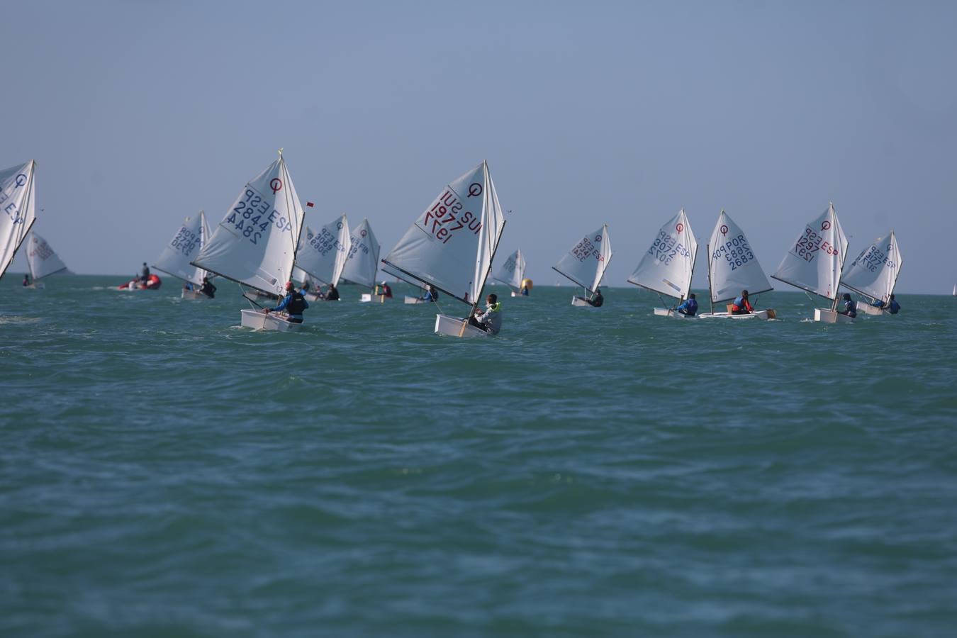 La Excellence Cup de Optimist se despide con honores de la Bahía de Cádiz