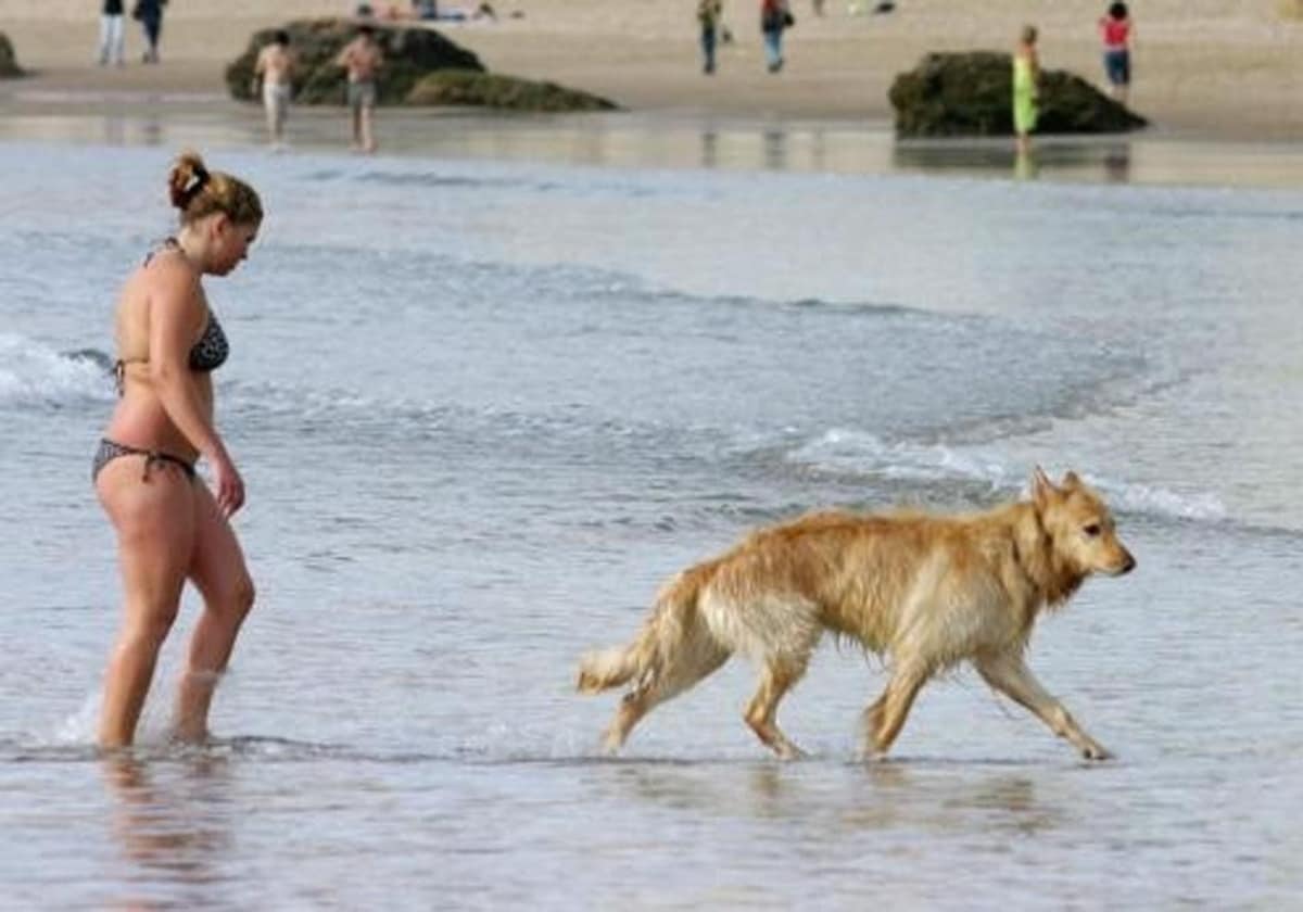Una mujer, con su perro en la playa de Santa María del Mar.