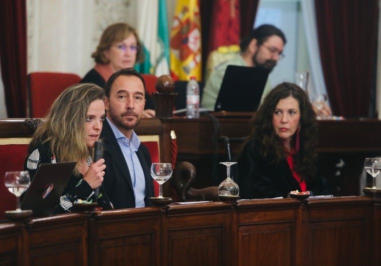 El PP lamenta que Kichi sólo haya ejecutado un tercio del I Plan contra la Violencia de Género