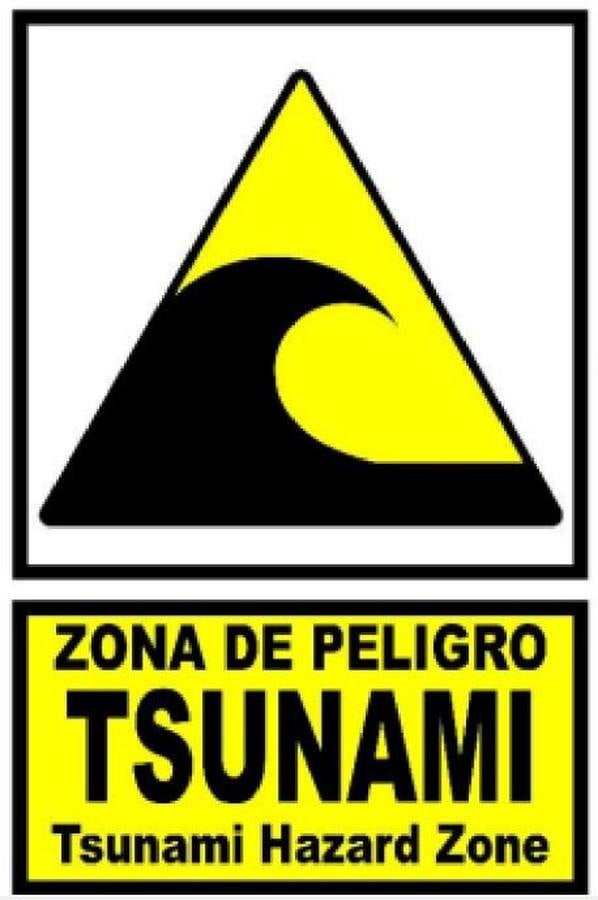 Imágenes: las señales de evacuación en caso de tsunami en Cádiz