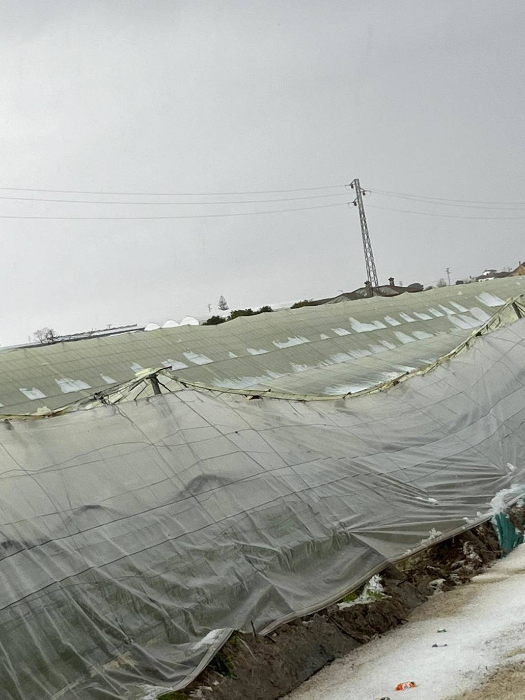 Fotos: Efectos del pedrisco de Sanlúcar en la agricultura