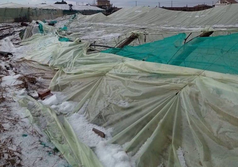 La Junta estudia la forma de ayudar a los agricultores de Sanlúcar afectados por el granizo