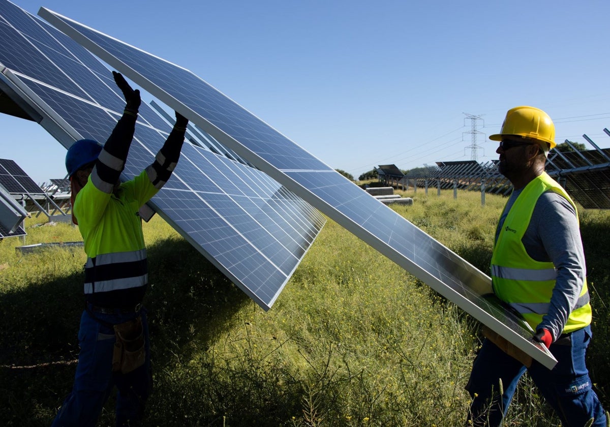 Colocación de los paneles solares en uno de los parques fotovoltaicos de la provincia de Cádiz