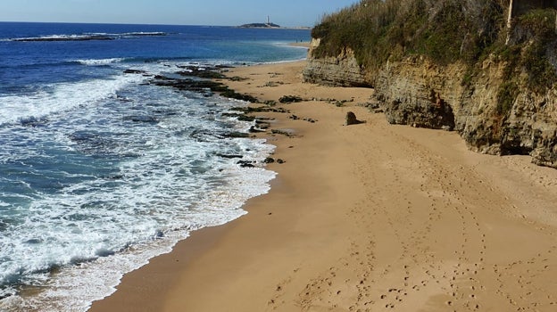 Recorrido por cinco playas de Cádiz para visitar en primavera