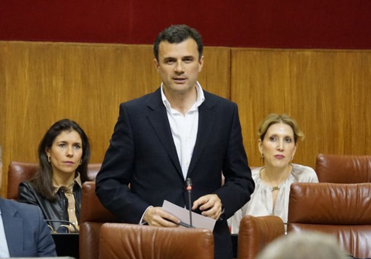 Bruno García, candidato del PP, en el Parlamento Anadaluz.