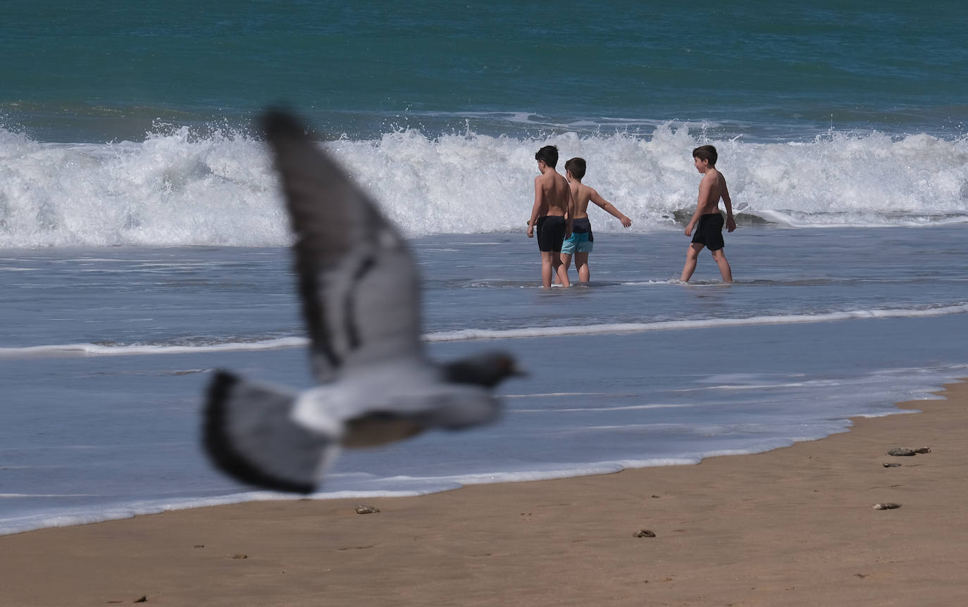 Fotos: Las playas toman protagonismo en Cádiz