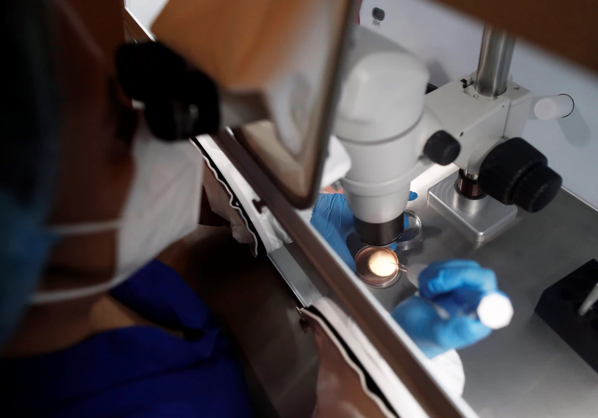 Proceso de fecundación in vitro en un centro especializado.