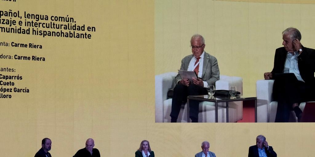 Español, castellano... ¿cómo le ponemos a la lengua de Cervantes?