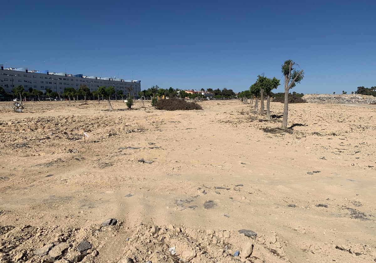 Obras en La Magdalena, San Fernando