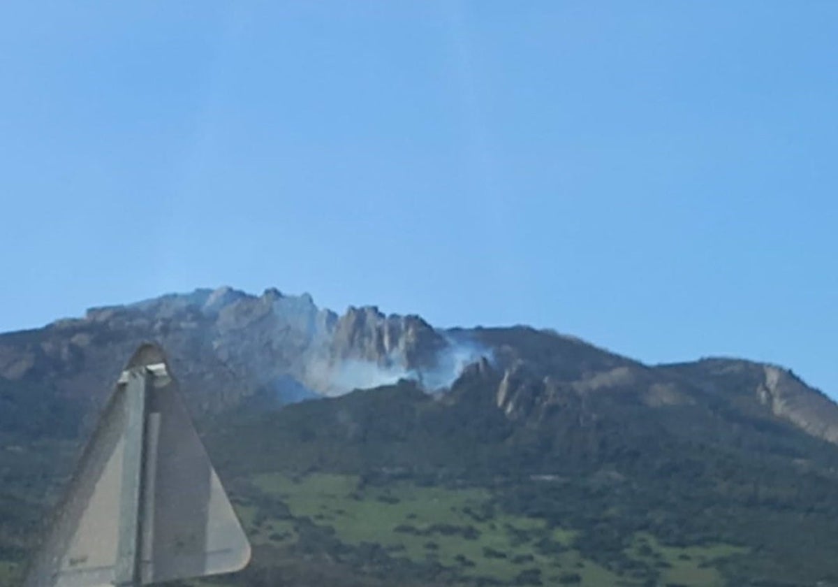 Incendio forestal declarado en el paraje Betis, en Tarifa.