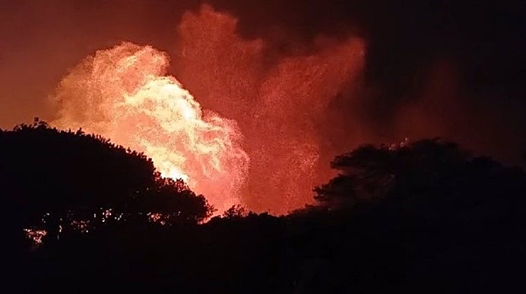 Activado el nivel 1 del Plan Infoca por el incendio forestal de Tarifa