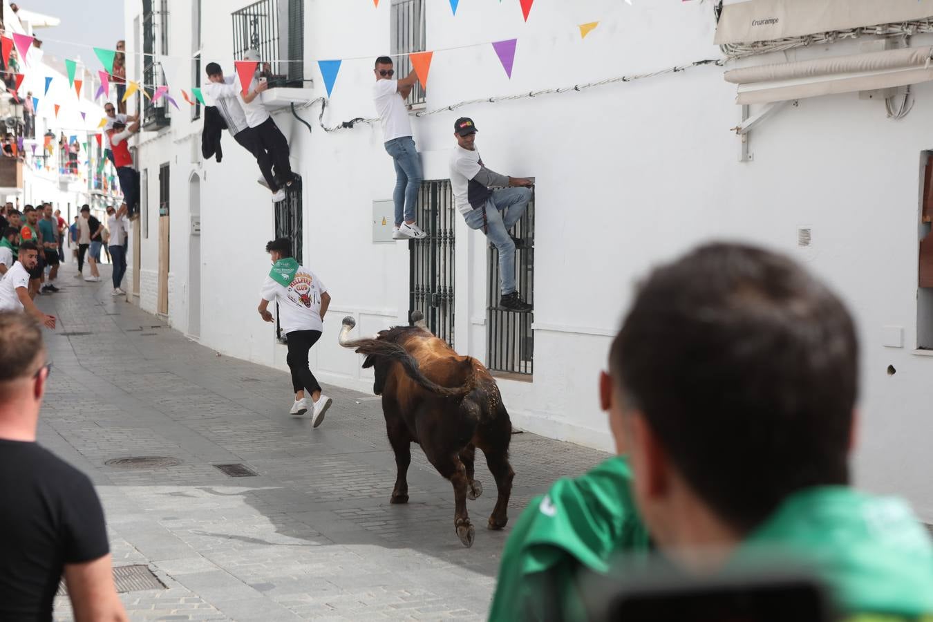 Fotos: Vejer celebra el Toro Embolao