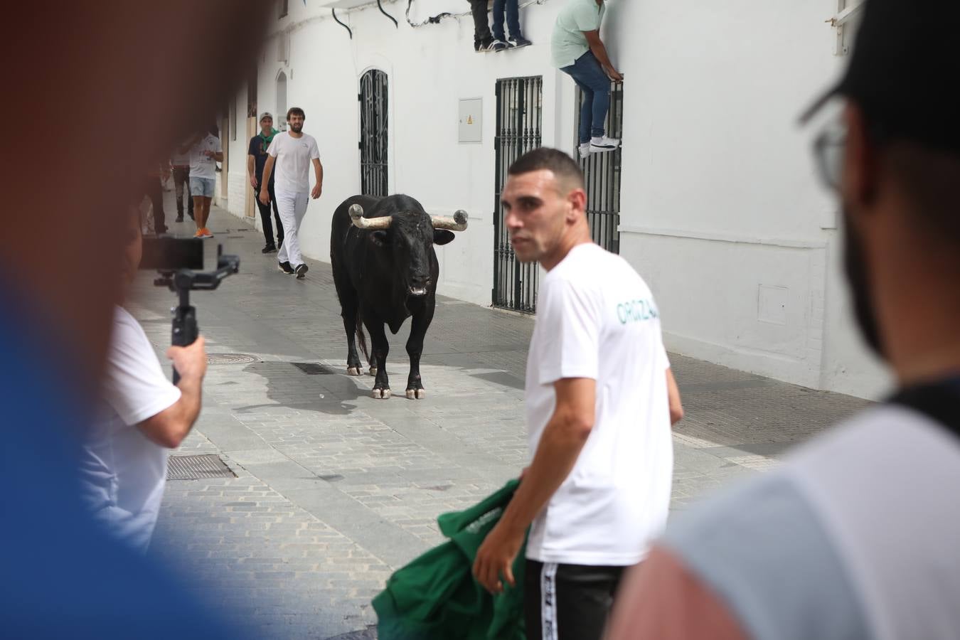 Fotos: Vejer celebra el Toro Embolao