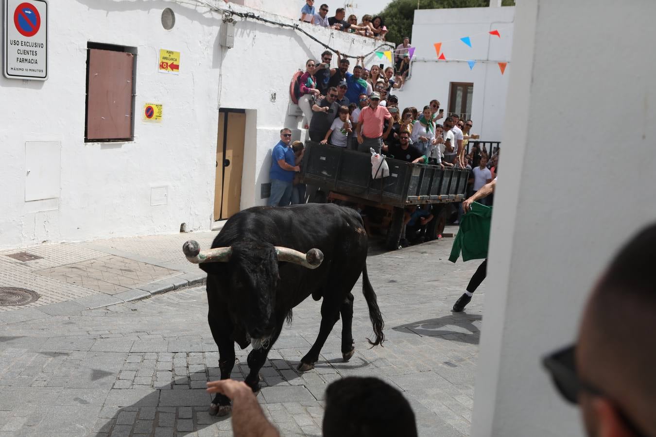 Fotos: Vejer celebra el Toro Embolao
