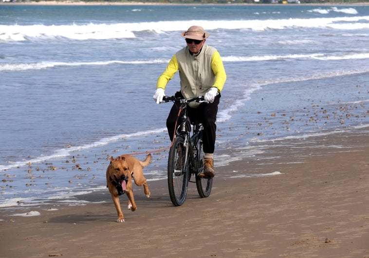 Playa canina, acceso al bus y más parques para perros, las demandas de los dueños de mascotas en Cádiz