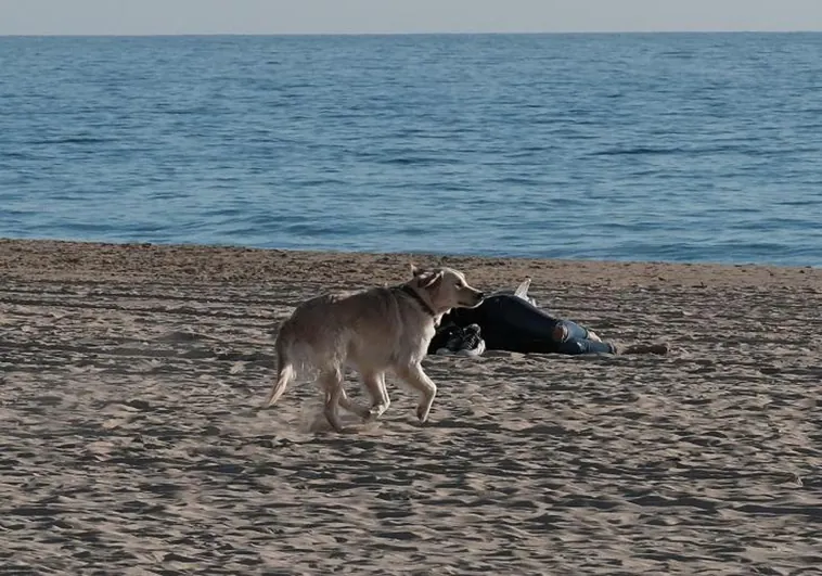 La Policía Local de Cádiz se pone las pilas y controlará la presencia de patinetes y perros en las playas