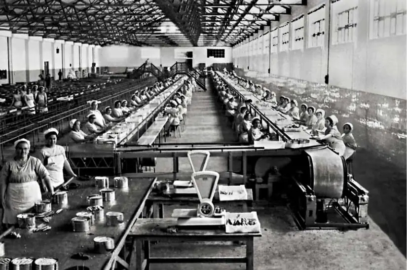 Mujeres estibando y llenando las latas de pescado en la fábrica de Conservas del Consorcio Nacional Almadrabero. Año 1968