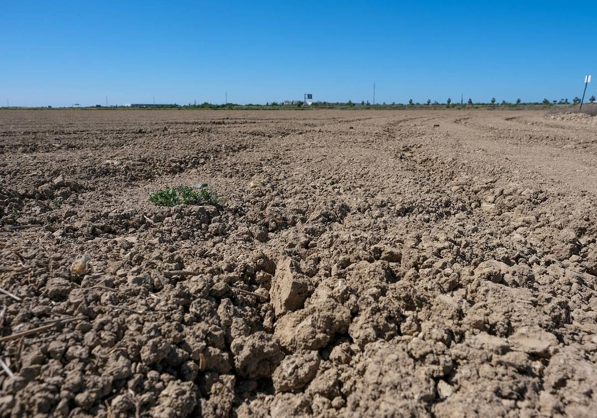 La sequía ha provocado que muchas explotaciones de la provincia presenten un estado casi desértico