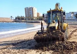 El Ayuntamiento confirma la presencia del alga invasora en la playa de La Caleta