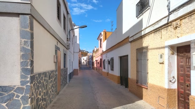 Estado actual del Palmar de la Victoria