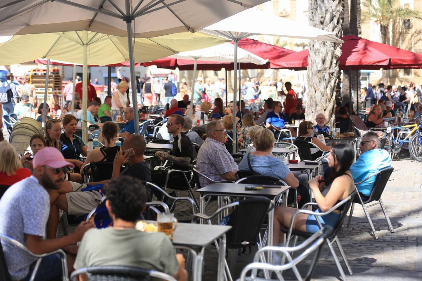 Fotos: Cinco cruceros y más de 9.000 pasajeros en una gran jornada en el Puerto de Cádiz