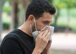 El polvo en suspensión y la falta de lluvia, problemas para los alérgicos esta primavera