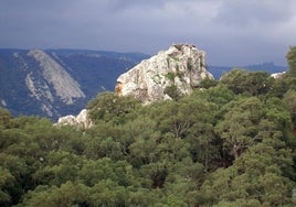 Los Parques Naturales se acercan a los ciudadanos