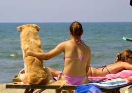 Dueños de mascotas se concentran este domingo en San Juan de Dios para reclamar una playa canina