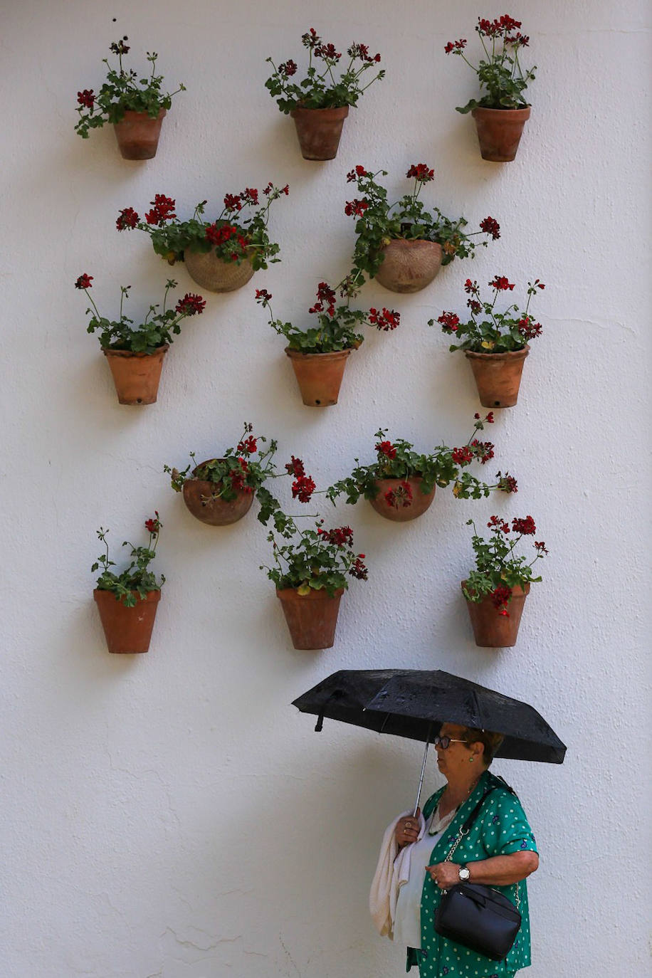 Fotos: Domingo en la Feria de El Puerto
